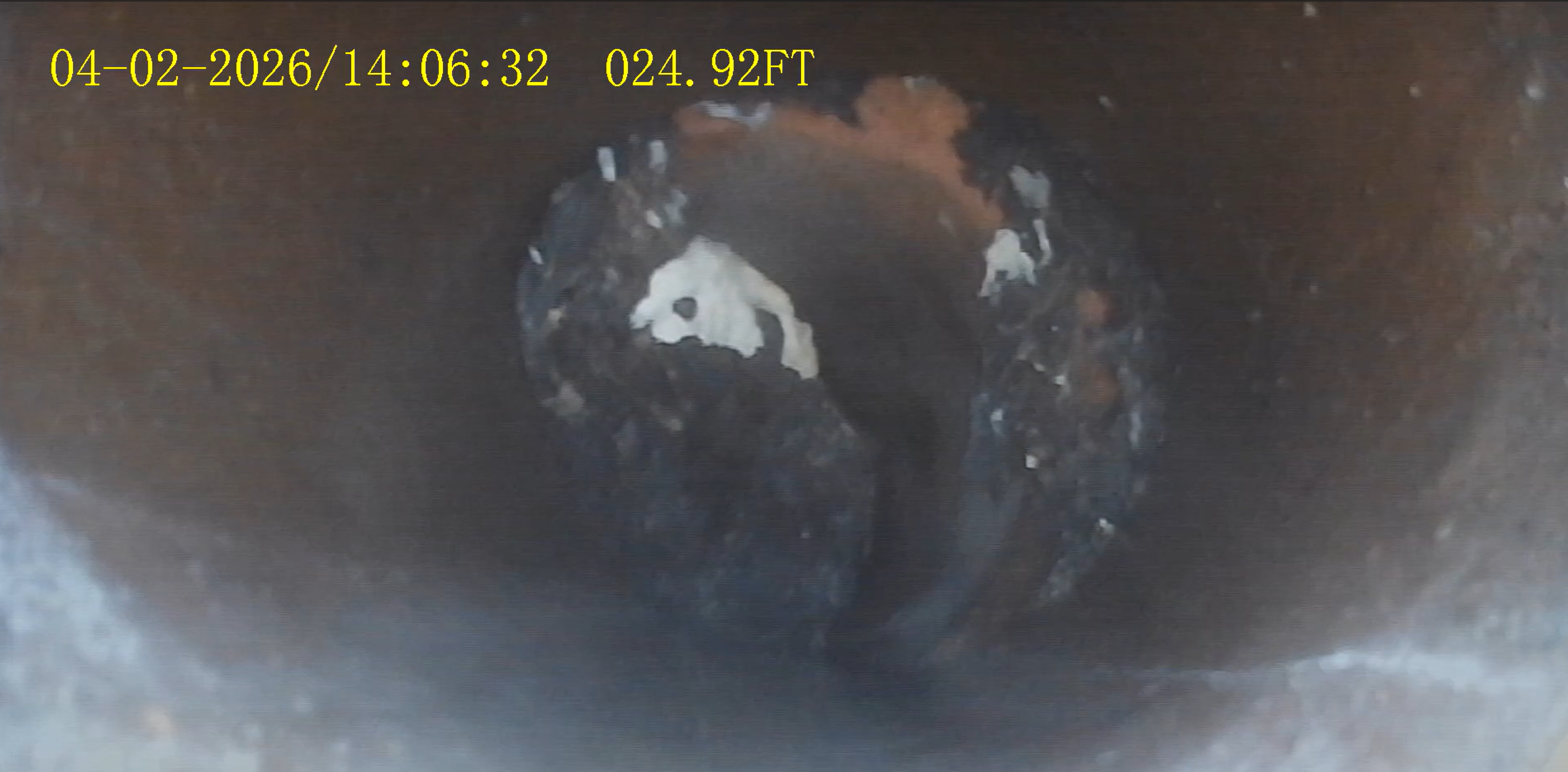 Root Ball Obstruction — sewer scope finding by Inspector Pros